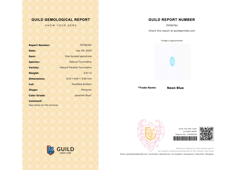 GUILD Paraiba Touramline Gemsotne Certificate - SARATTI
