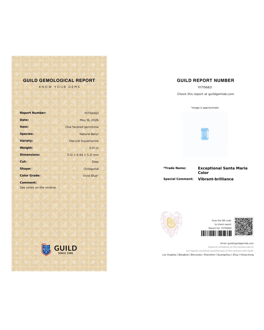 GUILD report 1117156821 for Santa Maria Aquamarine | SARATTI