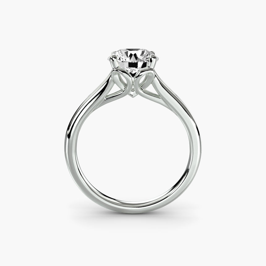The Eterna Setting