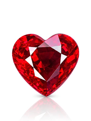 Heart