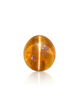 5.00 carat natural Brown Cat's-Eye Chrysoberyl oval cabochon held in tweezers with a bright chatoyant band under directional light
