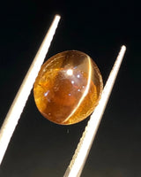5.00ct Brown Cat's-Eye Chrysoberyl | SARATTI