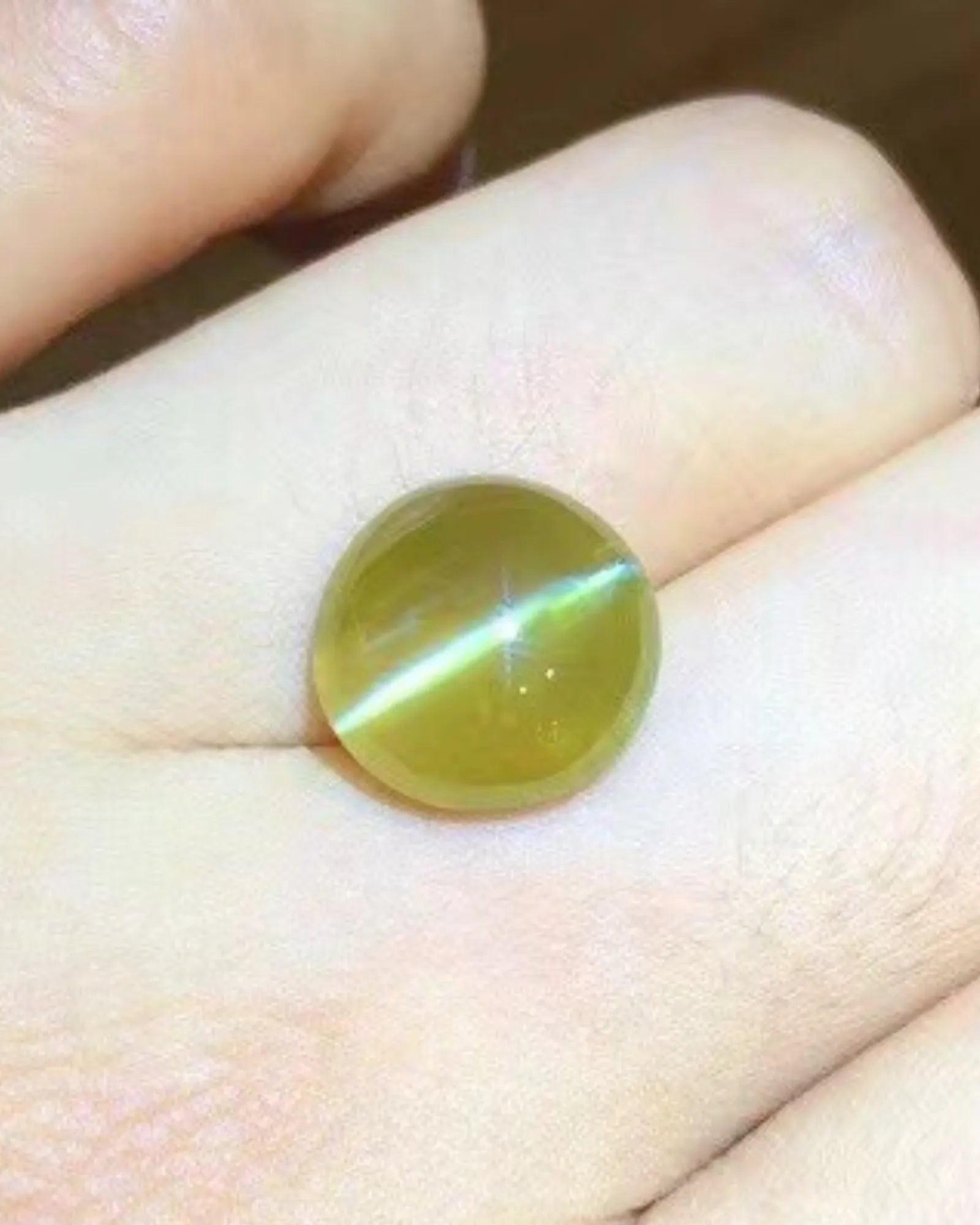 7.37 carat Cat's-Eye Chrysoberyl showing a bright reflected band across a brownish Yellow oval cabochon