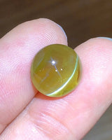 Close-up of 7.37 carat Honey Color Cat's-Eye Chrysoberyl showing a concentrated chatoyant band across the oval cabochon