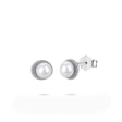 White Gold Akoya Pearl Stud Earrings 