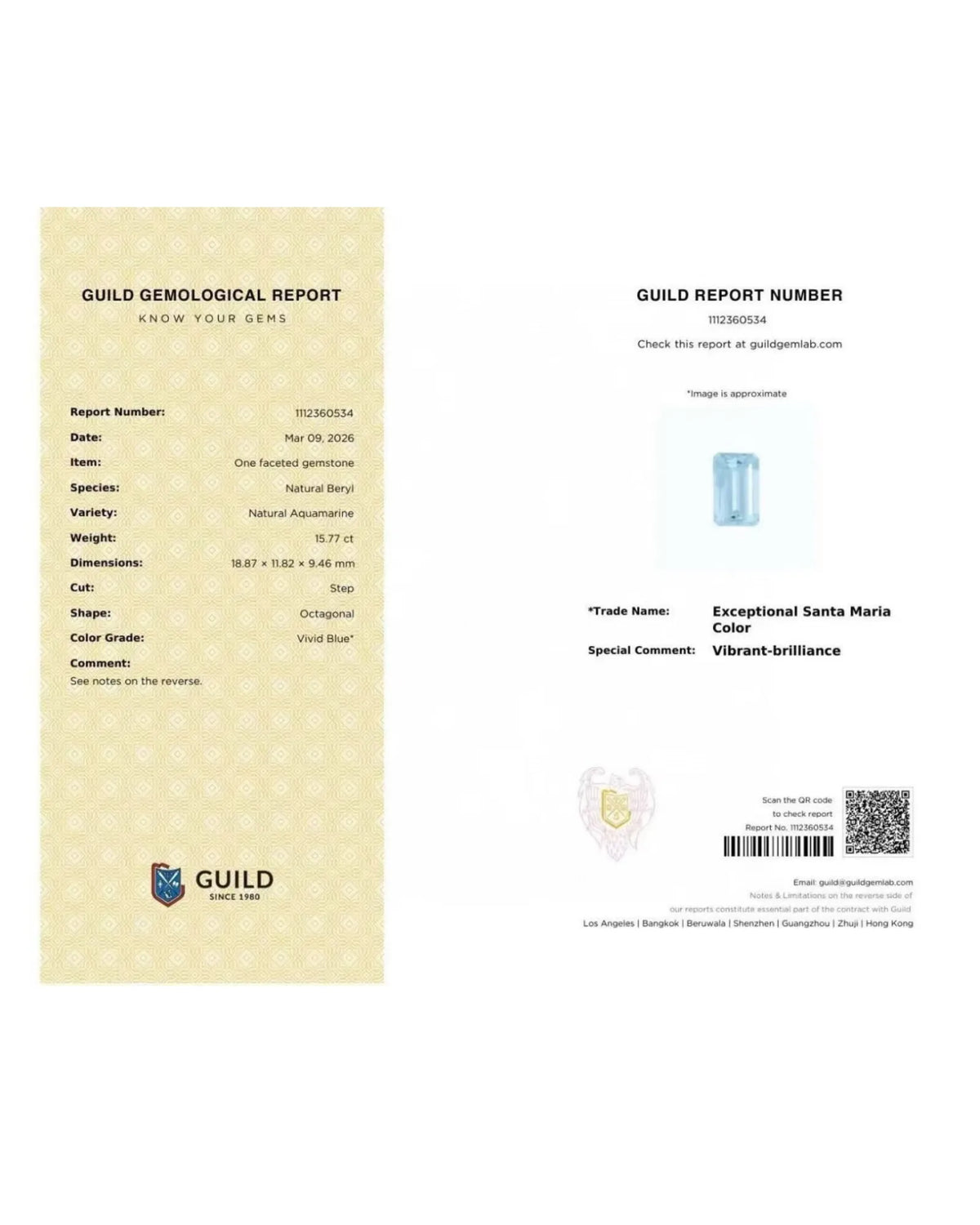 Aquamarine measuring 18.87 × 11.82 × 9.46 mm | SARATTI