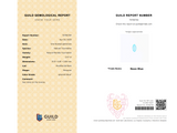 GUILD Paraiba Touramline Gemsotne Certificate - SARATTI
