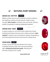 Luxury oval ruby diamond band with radiant multi-stone design in Platinum | SARATTI