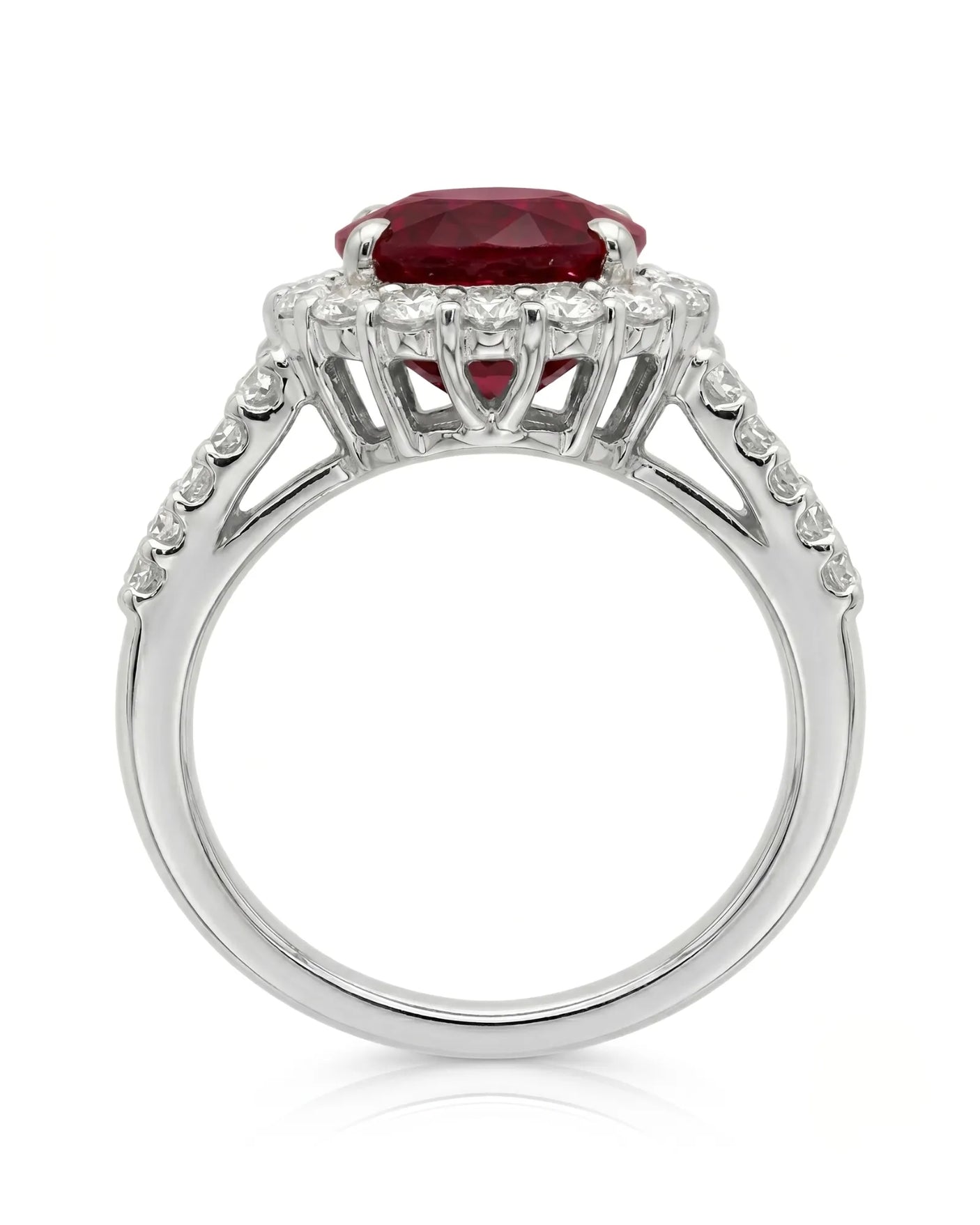 Luxury oval ruby halo ring with diamond shoulders in refined white gold - SARATTI