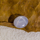 Oval Shaped Natural Star Sapphire Gem | Saratti