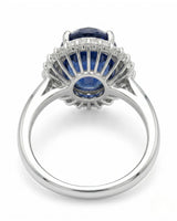 Princess Diana-inspired sapphire ring with classic diamond halo in polished platinum - SARATTI