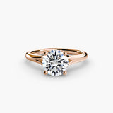 The Eterna Setting