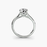 The Eterna Setting