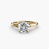 The Eterna Setting