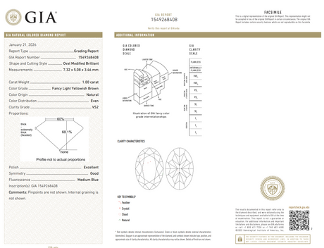 1.00ct Oval Natural Diamond (Colour Fancy Light Yellowish Brown, Clarity VS2, GIA Certified)