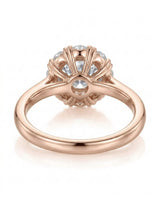 Sadi – Celestial Glow Natural Round Diamond Star Halo Ring