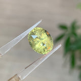 5.73 carats Unheated Natural Chrysoberyl Gemstone