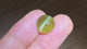 7.37 carats Natural Honey Color Cat's Eye Chrysoberyl | Oval Cabochon