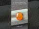 9.98 carats Natural Namibian Fanta Orange Spessartine Garnet | Oval Cabochon