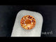 Large Oval Golden Tourmaline for Custom Jewelry | SARATTI  
