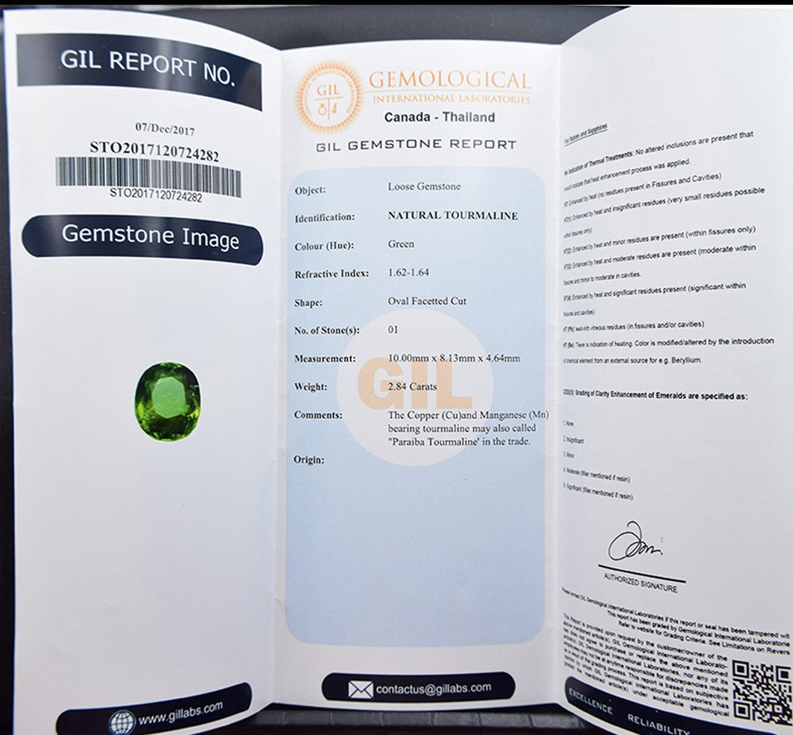 GIL Certified Green Paraiba Tourmaline 2.84 Carats | 10 x 8.13mm - Modern Gem Jewelry 